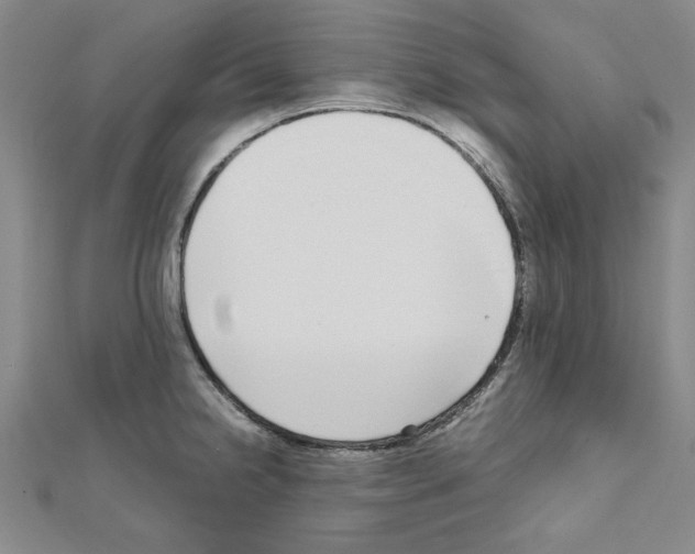 X0000111191238200908121040