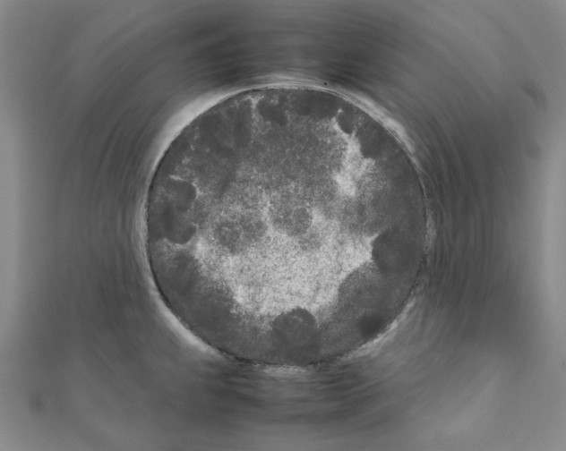 X0000111191239200908121040