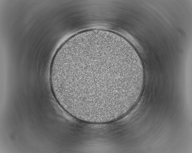 X0000111191240200908121040