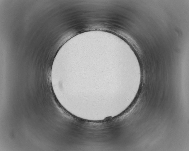 X0000111191241200908121040