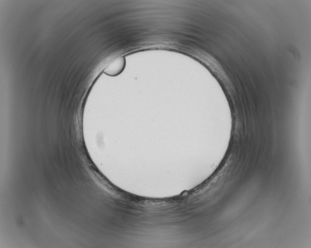 X0000111191242200908121040
