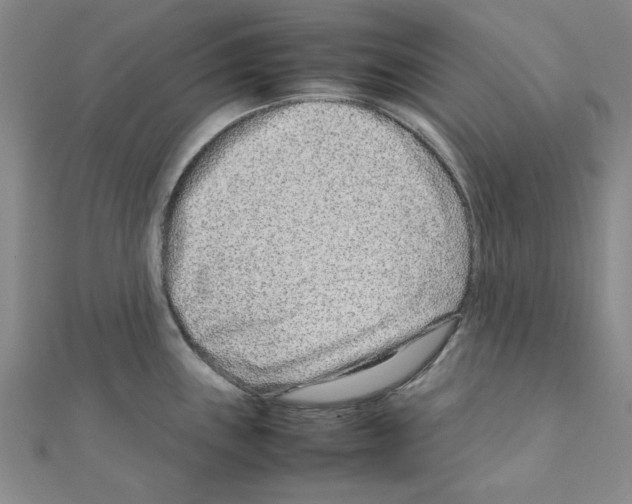 X0000111191243200908121040