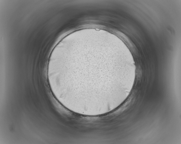 X0000111191244200908121040