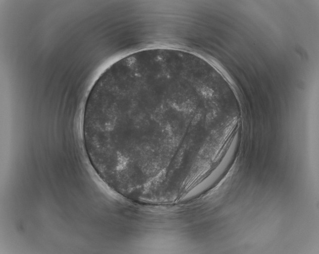 X0000111191246200908121040