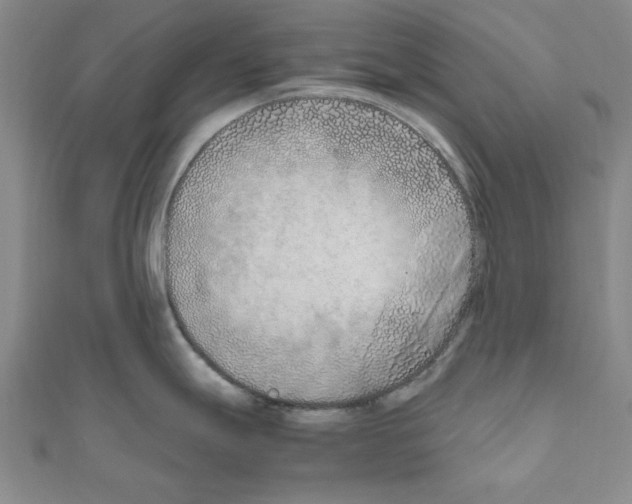 X0000111191247200908121040