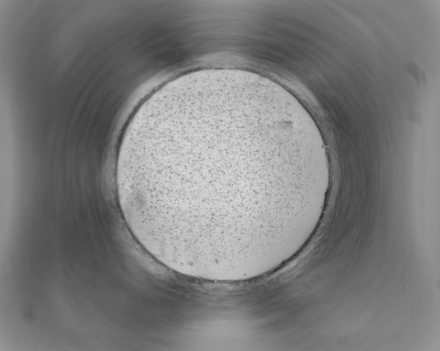 X0000111191248200908121040
