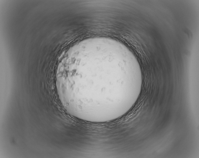 X0000111191249200908121040
