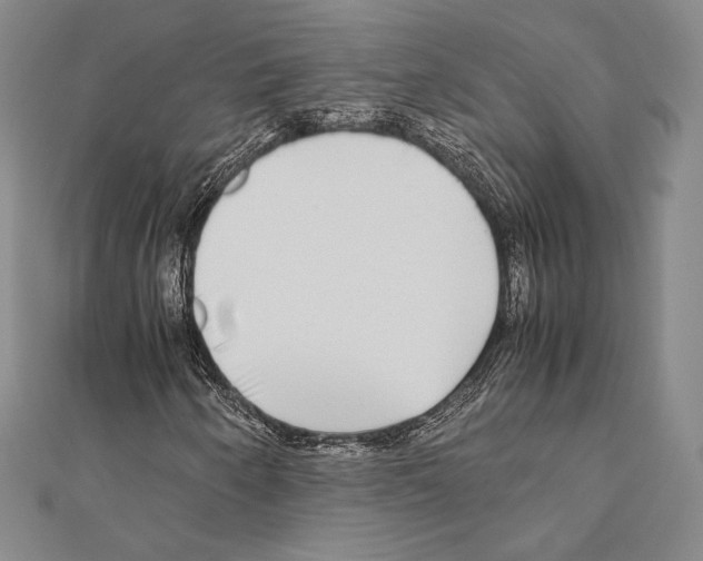 X0000111191250200908121040