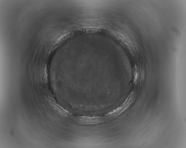 X0000111191252200908121040