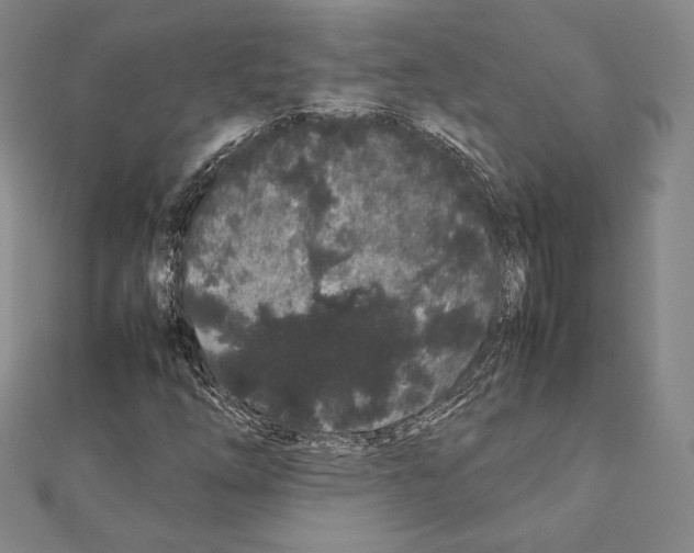 X0000111191254200908121040