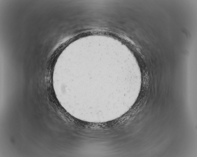 X0000111191255200908121040