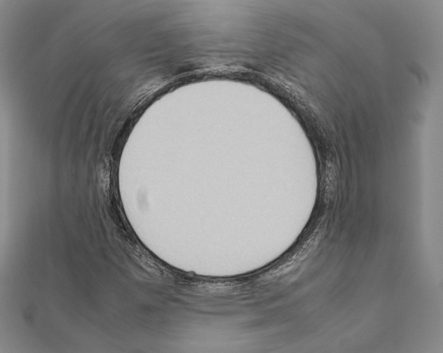 X0000111191257200908121040