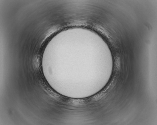 X0000111191258200908121040