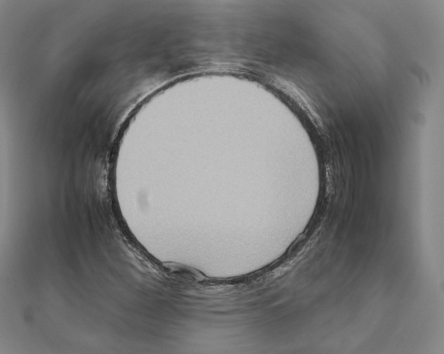 X0000111191260200908121040