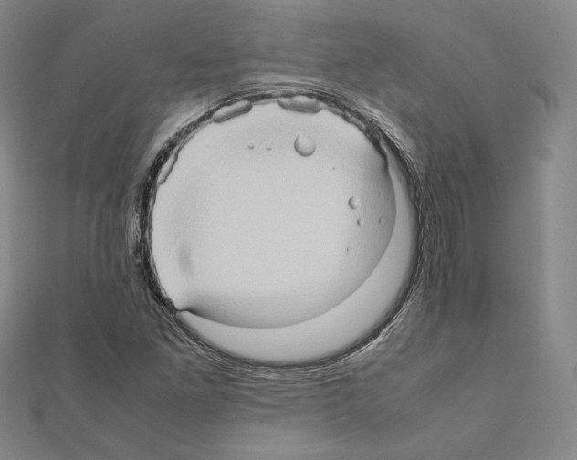 X0000111191261200908121040