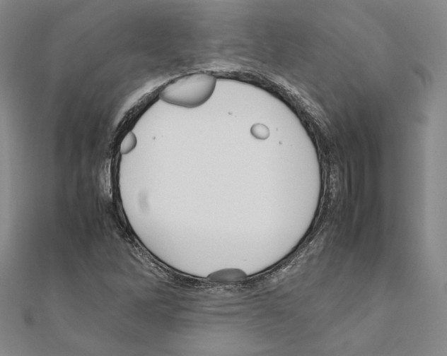 X0000111191262200908121040