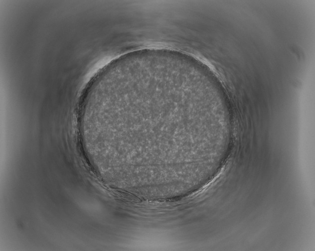 X0000111191263200908121040