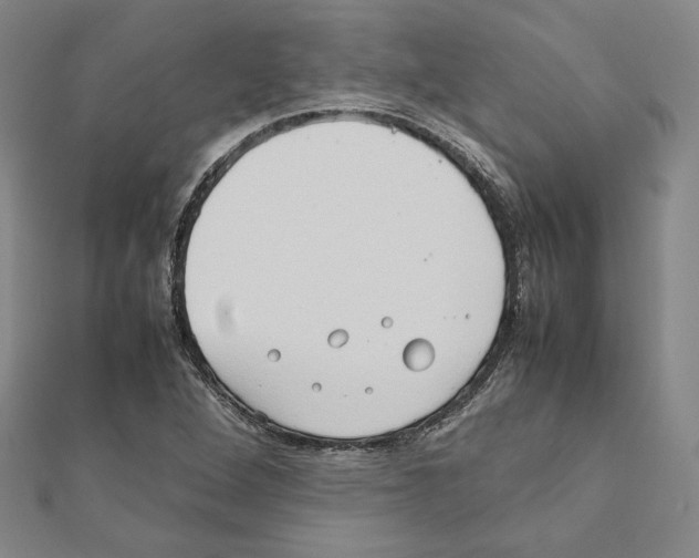 X0000111191264200908121040