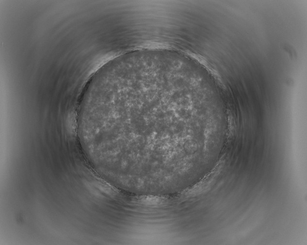 X0000111191266200908121040
