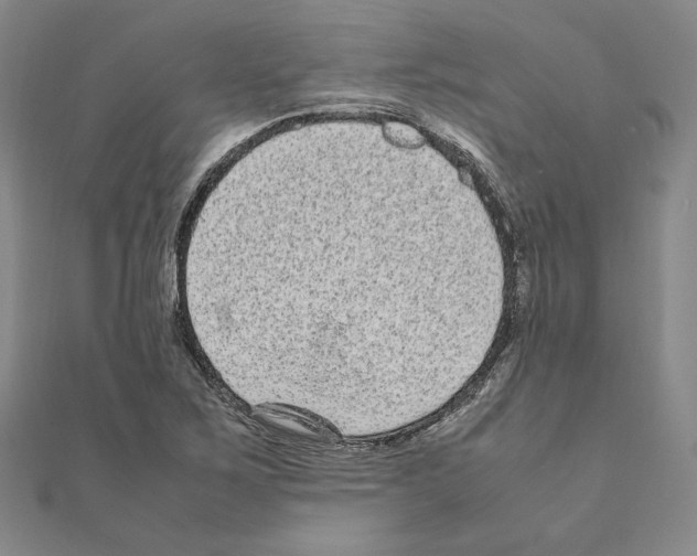X0000111191267200908121040