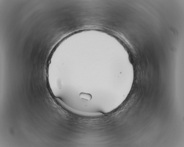 X0000111191268200908121040