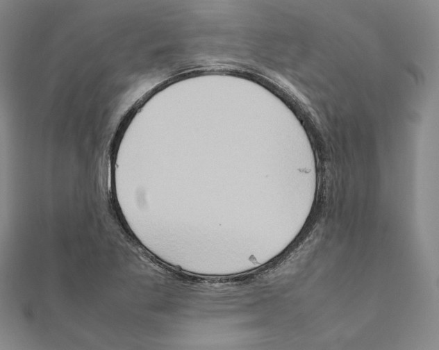 X0000111191269200908121040