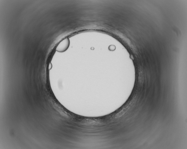 X0000111191270200908121040
