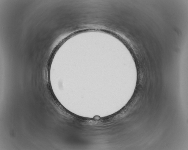X0000111191271200908121040