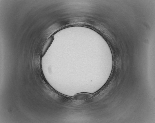 X0000111191273200908121040