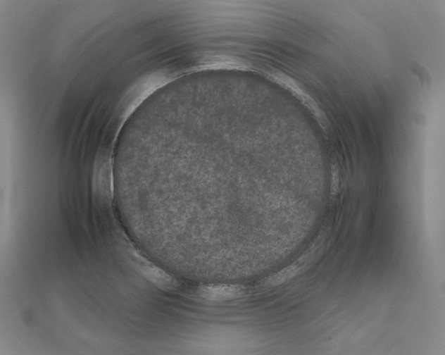 X0000111191274200908121040