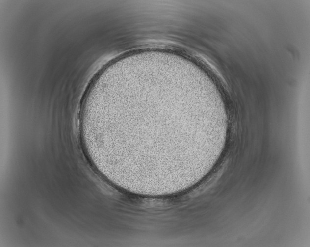 X0000111191275200908121040