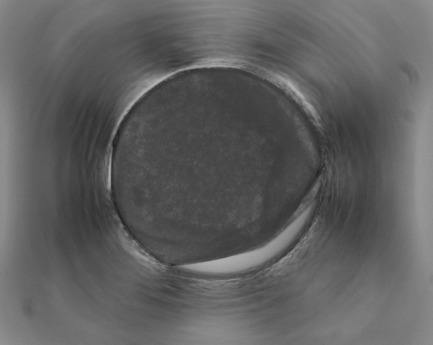 X0000111191276200908121039