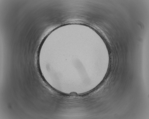 X0000111191277200908121039