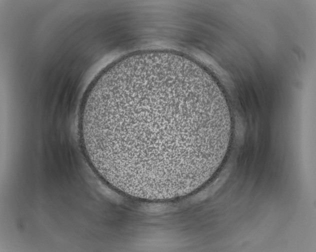 X0000111191278200908121039