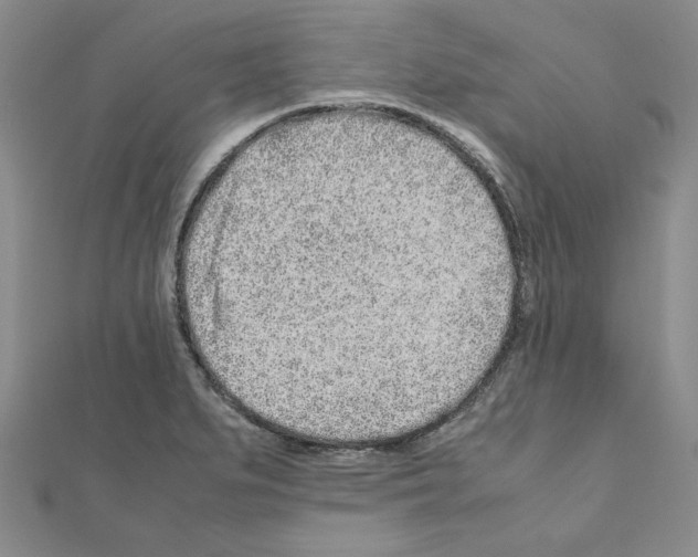 X0000111191279200908121039