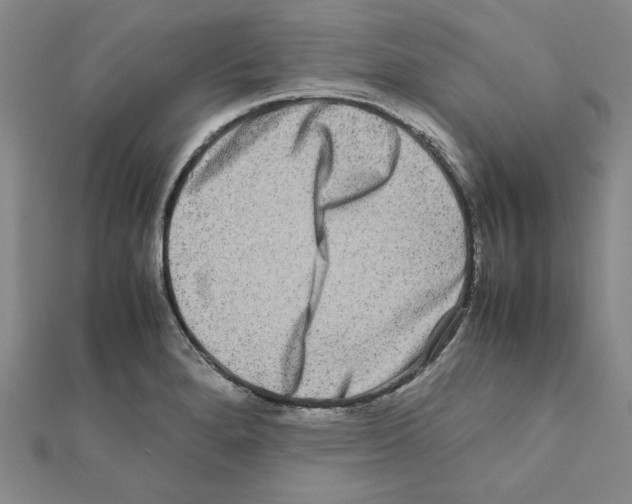 X0000111191280200908121039