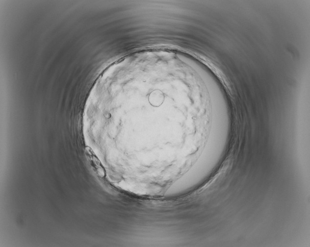 X0000111191281200908121039