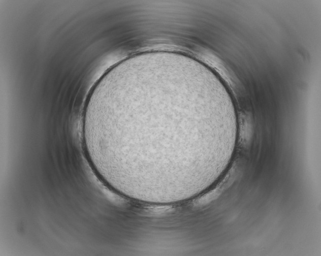 X0000111191282200908121039