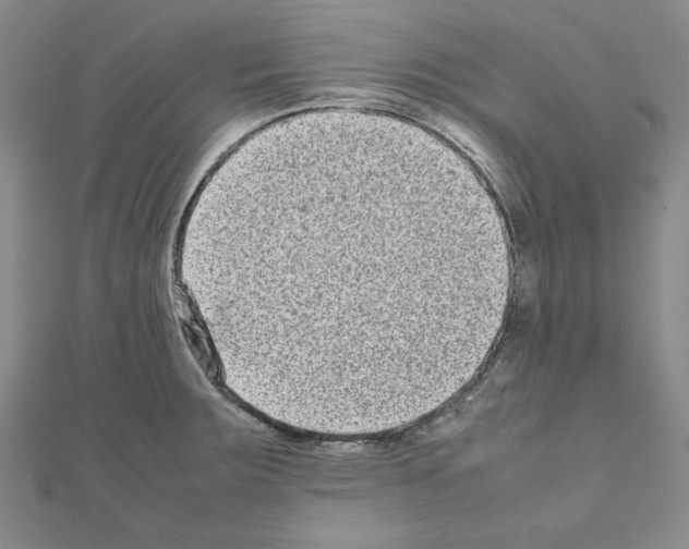 X0000111191283200908121039
