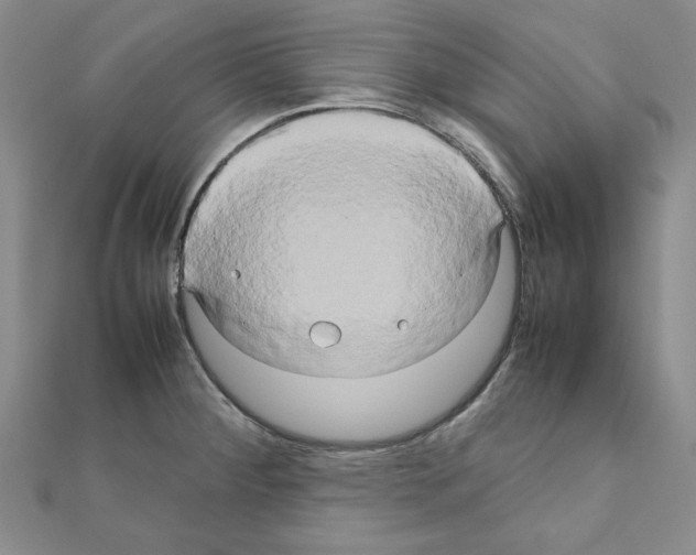 X0000111191284200908121039