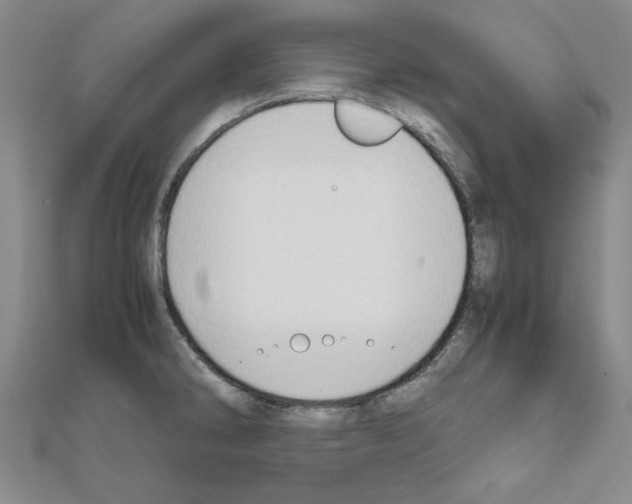 X0000111191286200908121039