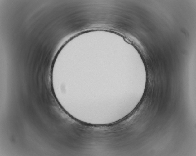 X0000111191288200908121039