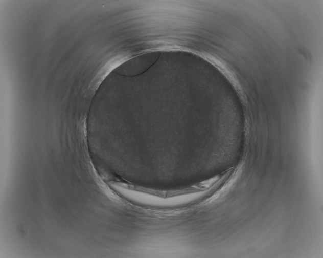 X0000111191289200908121039