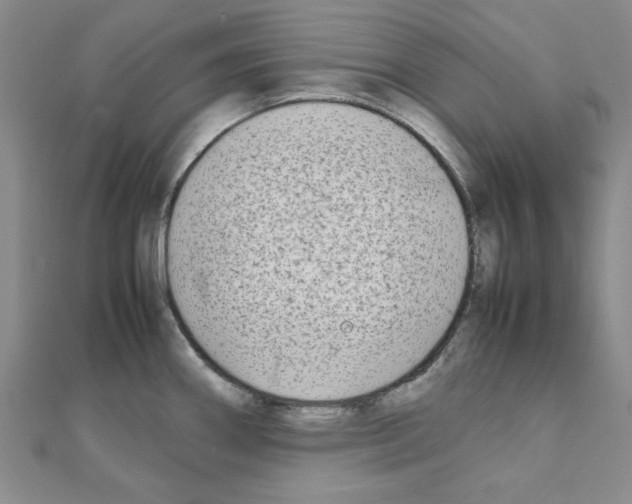 X0000111191290200908121039