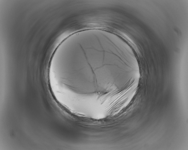 X0000111191291200908121039