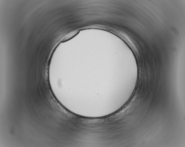 X0000111191292200908121039