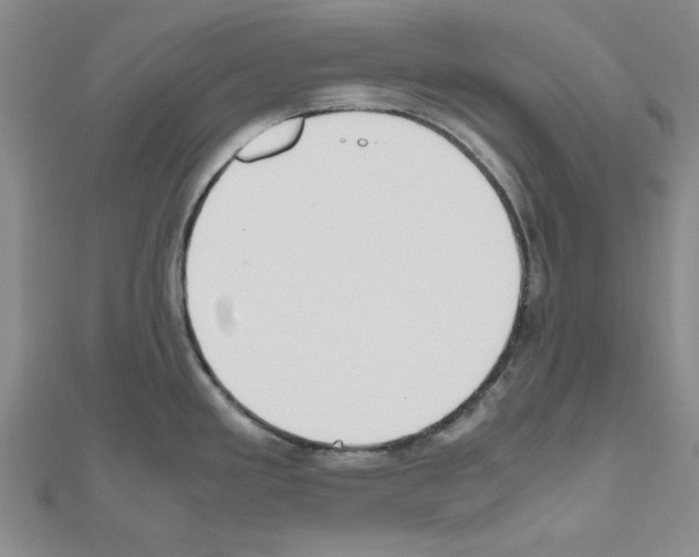 X0000111191293200908121039