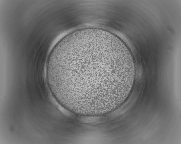X0000111191294200908121039