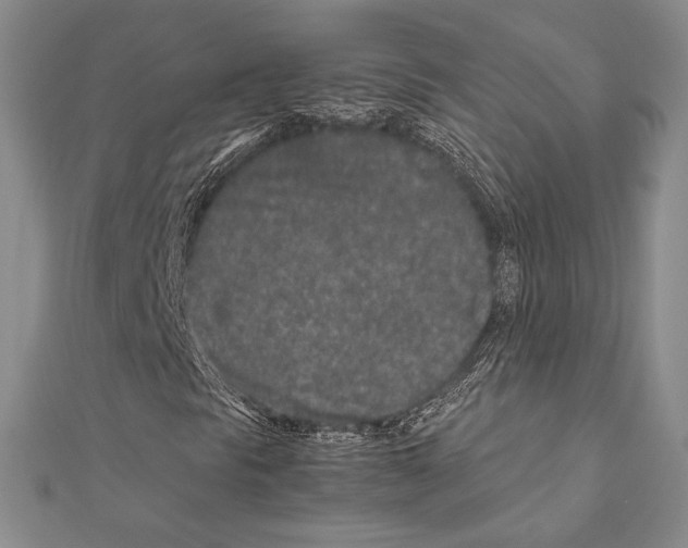 X0000111191297200908121038
