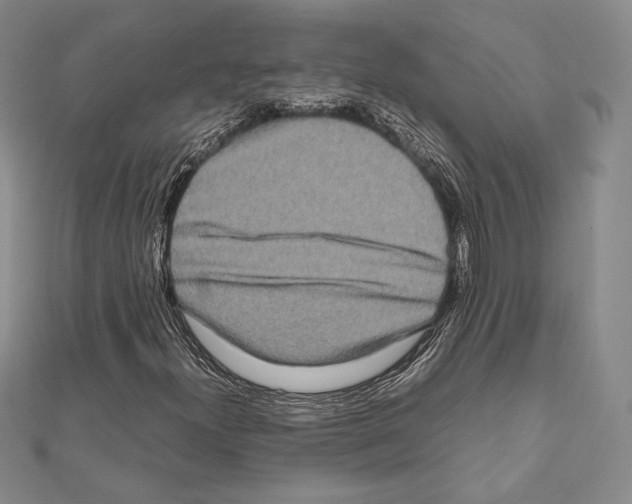 X0000111191300200908121038